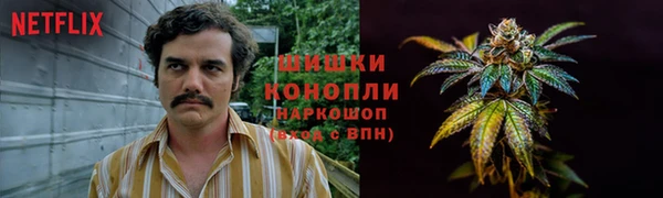 2c-b Белоозёрский