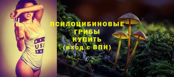 а пвп мука Белокуриха