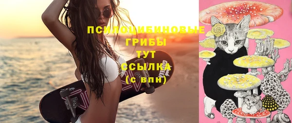 2c-b Белоозёрский